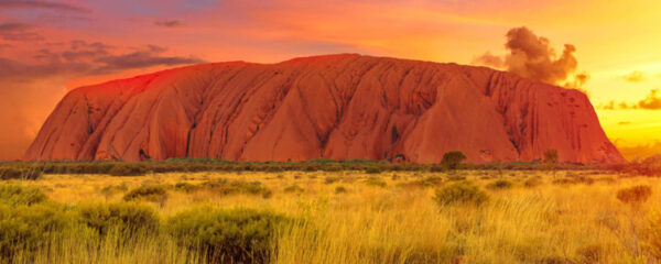 Uluru désert australien